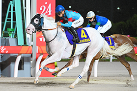 大井競馬