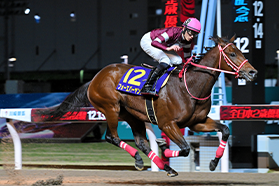 川崎競馬