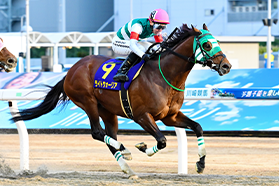 川崎競馬