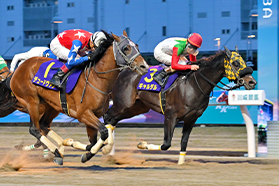 川崎競馬