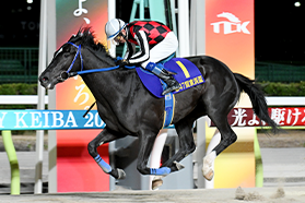 大井競馬