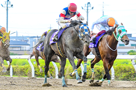 浦和競馬